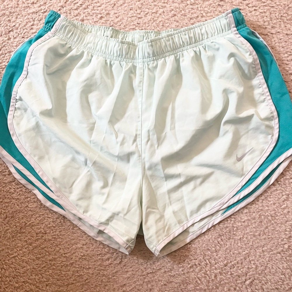 NIKE Athletic Mint Shorts Size Large